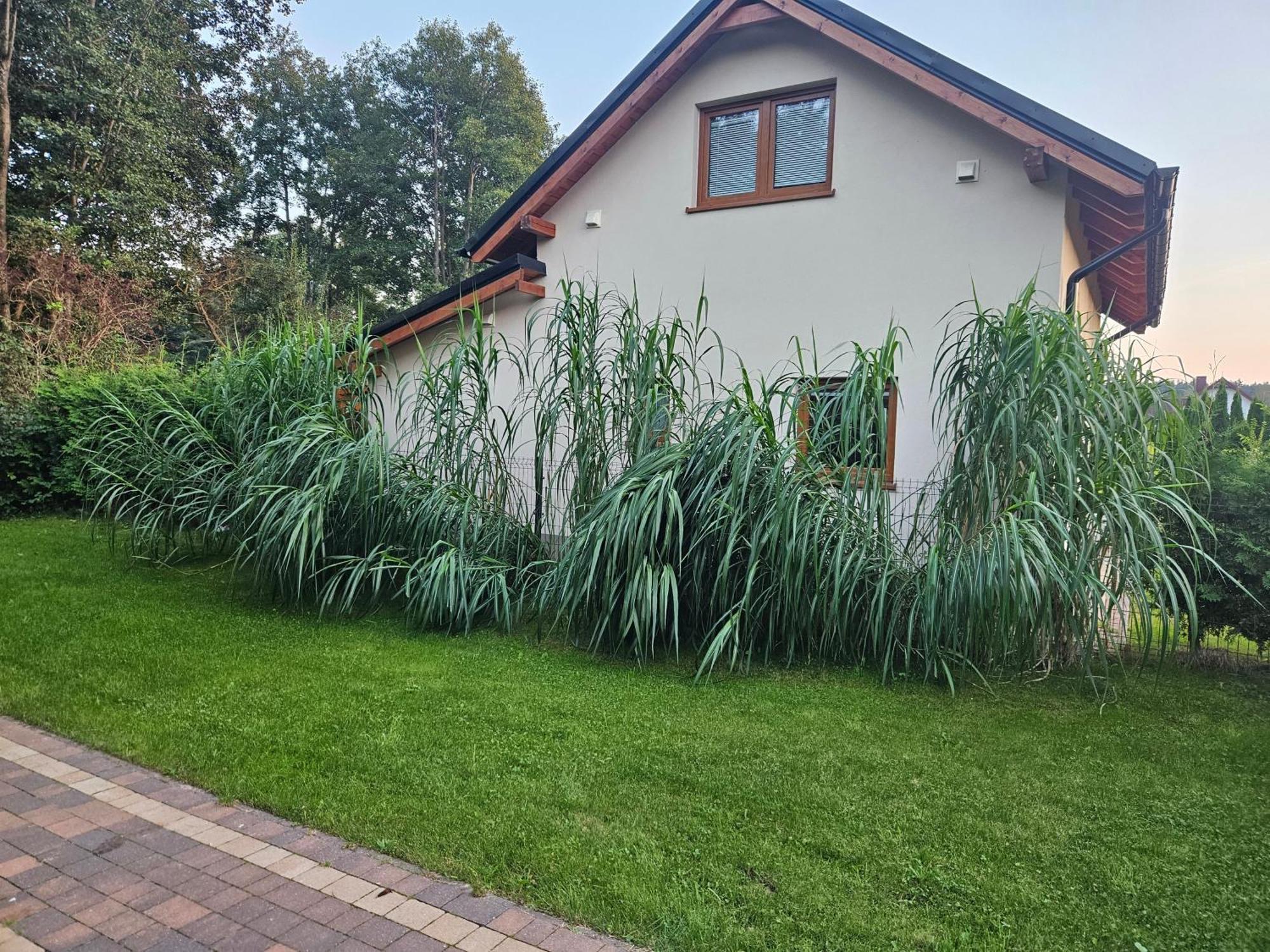 Osada Cztery Pory Roku - Dom Jesien Villa Kopalino Exteriör bild